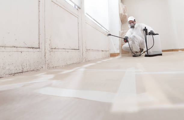 24/7 Emergency Basement Mold Remediation experts in Jackson, KY